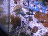 IMG_1133.JPG