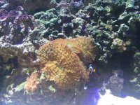 IMG_0029.JPG
