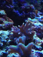 IMG_2264.jpg