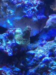 IMG_2268.jpg