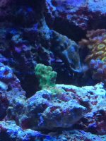 IMG_2269.jpg