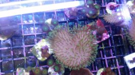 20140825_162121_resized.jpg