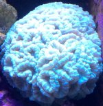 IMG_2154.jpg