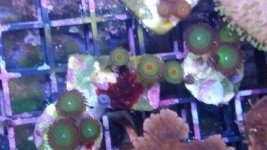20140825_161957_resized.jpg