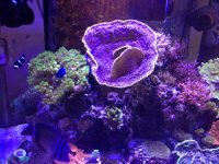 IMG_1904.jpg