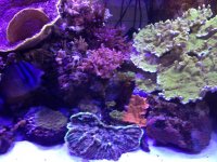 IMG_1905.jpg