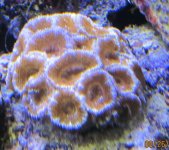 IMG_2233.jpg