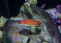 IMG_8763.jpg
