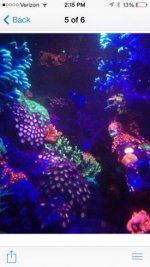 IMG_5763.jpg