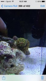 ImageUploadedByTapatalk1405178151.544178.jpg ImageUploadedByTapatalk1405178151.544178.jpg