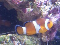 20141116_224035.jpg