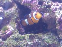 20141116_224019.jpg
