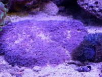 20150317_184337.jpg