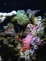 IMG_0830.jpg