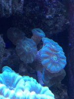 IMG_3365.jpg