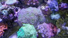 20140517_153154.jpg