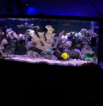 IMG_1047.jpg