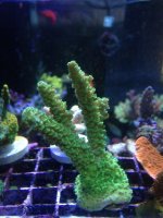 IMG_0954.jpg