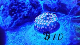 2015-05-10_02.18.20.jpg