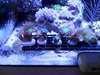 20141015_153141.jpg
