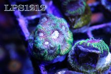 IMG_8487.JPG