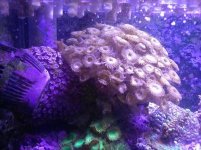 10671387_749030455134135_4377102289710455565_n[1].jpg