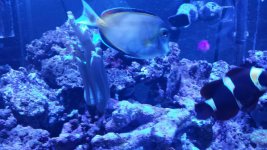 20150207_204617_resized.jpg