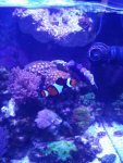 IMG_20150510_192813.jpg
