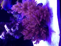 IMG_3368.JPG