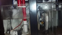IMG_20130511_224724_184.jpg