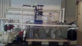 IMG_20130501_112257_339.jpg