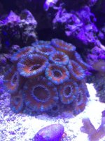 photo (2).jpg