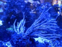 IMG_6643.jpg