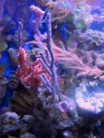 IMG_6653.jpg