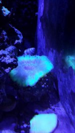 20140712_192756.jpg