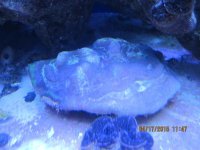 IMG_0992.jpg
