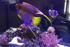 fish7.jpg