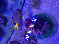 IMG_2925.jpg