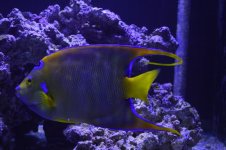 IMG_2897.jpg