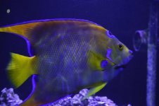 IMG_2898.jpg