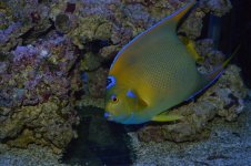 IMG_2890.jpg