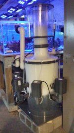 new skimmer 014.jpg
