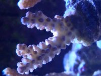 IMG_8764.jpg