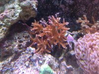 IMG_0092.jpg