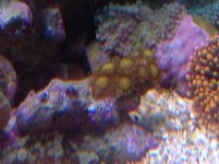 IMG_0093.jpg