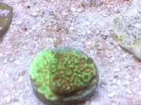 IMG_0091.jpg