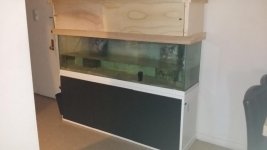 20150211_094659.jpg