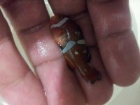 20141120_153705.jpg