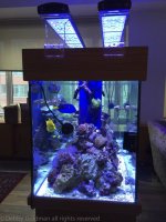 Mar_19_220 drilled tank_0002-2.jpg