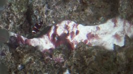 20150223_132722 (1).jpg